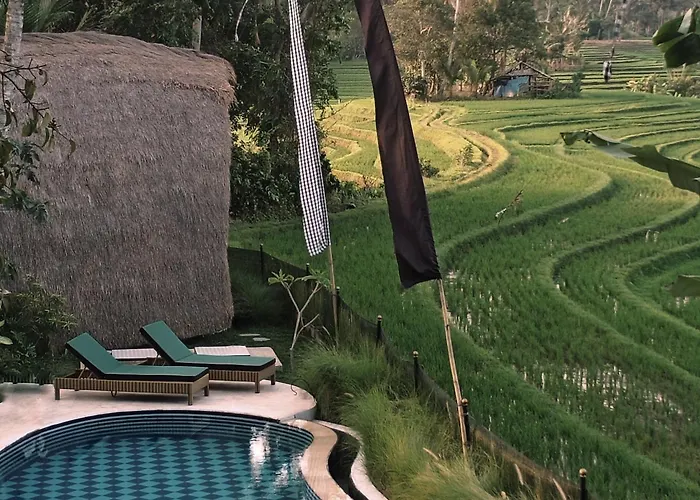 Dharma Oasis Pensión