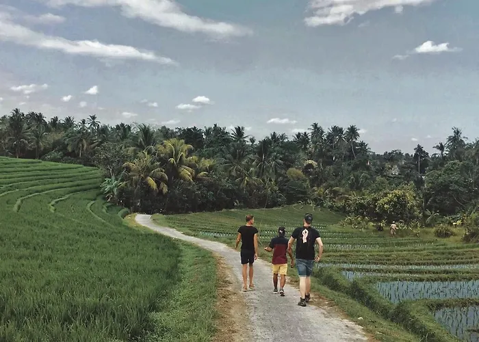 Dharma Oasis Pensión Selemadeg (Bali)