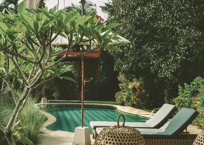 Pensión Dharma Oasis