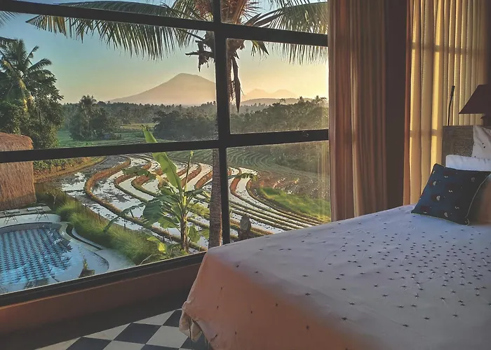 Dharma Oasis Pensión 4*